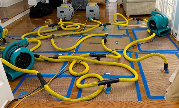 Professional Crawl Space Water Removal technician working in Okauchee, WI
